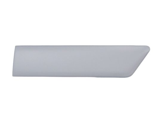 Elemente decorative/protectie, aripa 5703-04-2564477PP BLIC