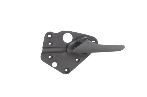 Maner usa, echipare interioara 6010-02-037409P BLIC