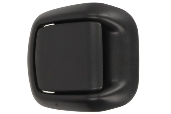 Maner usa, echipare interioara 6010-03-046408C BLIC