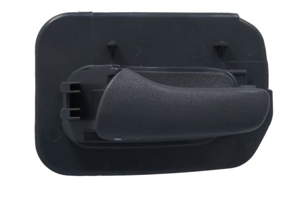 Maner usa, echipare interioara 6010-04-004409TPP BLIC