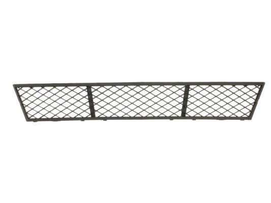 Grila ventilatie, bara protectie 6502-07-0067910P BLIC