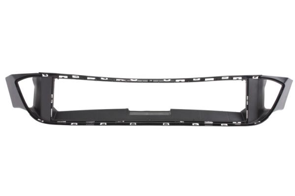 Grila ventilatie, bara protectie 6502-07-0067913P BLIC