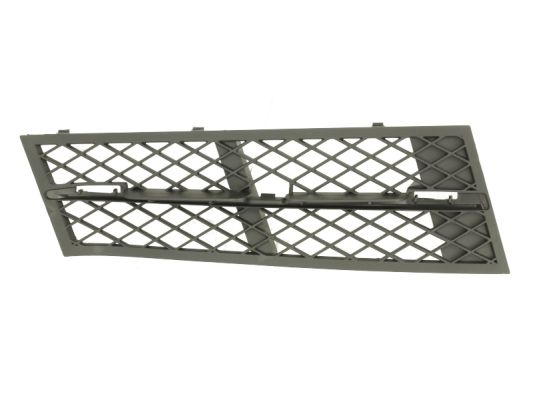 Grila ventilatie, bara protectie 6502-07-0067915P BLIC