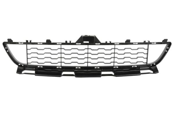 Grila ventilatie, bara protectie 6502-07-0070910P BLIC