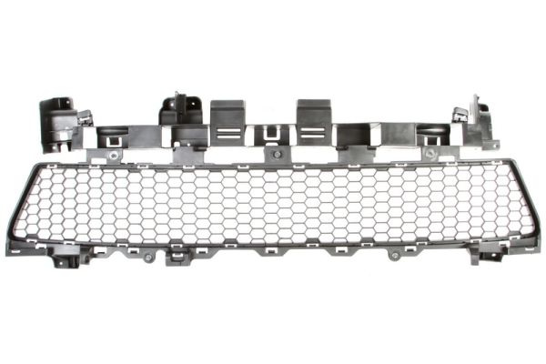 Grila ventilatie, bara protectie 6502-07-1303910P BLIC