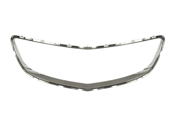 Banda de protectie, grila radiator 6502-07-5079997P BLIC