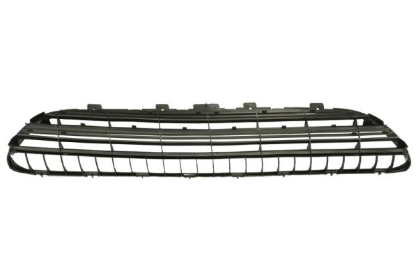 Grila ventilatie, bara protectie 6502-07-5536994P BLIC