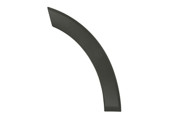 Elemente decorative/protectie, portiera 6601-02-2518423P BLIC