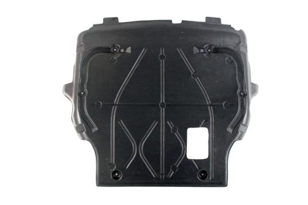 Acoperire motor 6601-02-9568860P BLIC