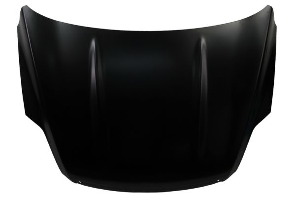 Capota motor 6803-00-2578280P BLIC