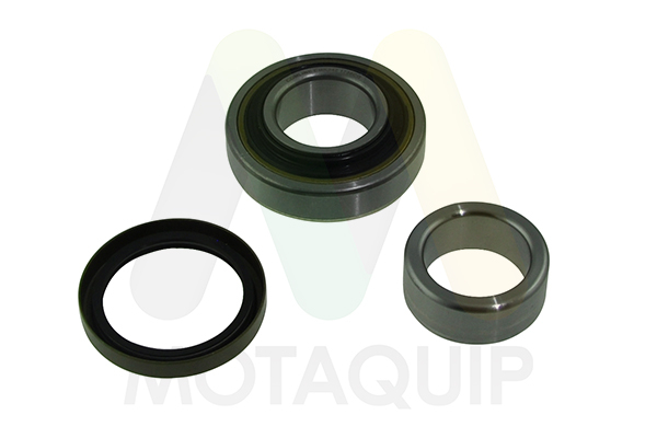 Set rulment roata LVBW1805 MOTAQUIP