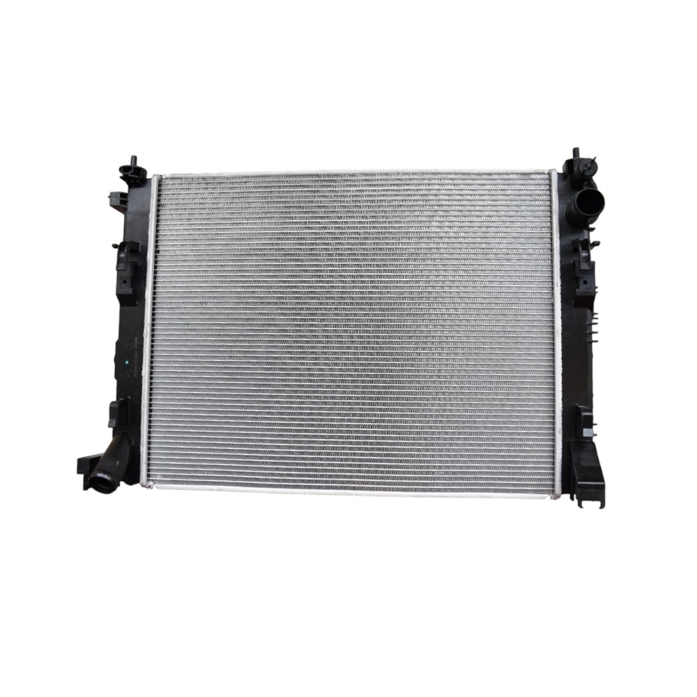 radiator, racire motor 156049 ASAM