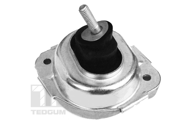 Suport motor 00088531 TEDGUM
