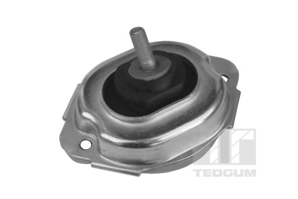 Suport motor 00088547 TEDGUM
