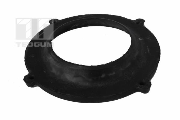 Saiba arc 00501821 TEDGUM