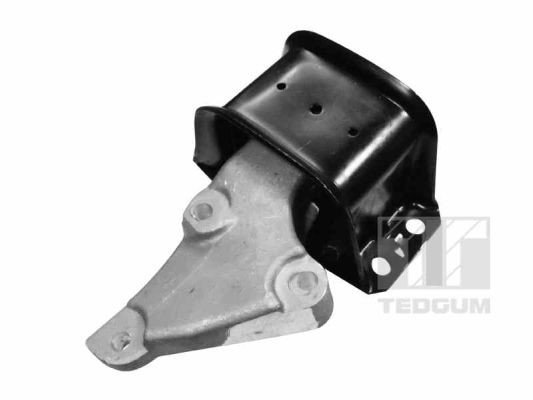 Suport motor 00516309 TEDGUM