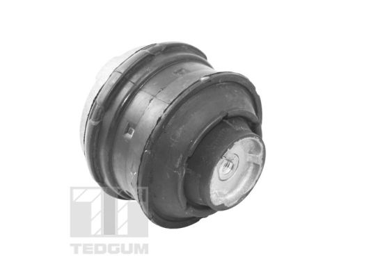 Suport motor TED81021 TEDGUM