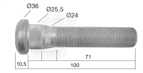 Bolt roata 21530 CASALS