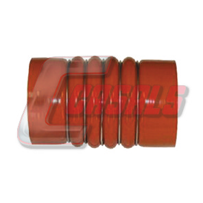Furtun ear supraalimentare 33203 CASALS