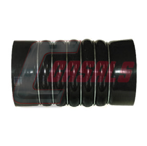 Furtun ear supraalimentare 33205 CASALS