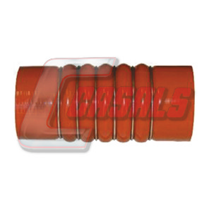 Furtun ear supraalimentare 33243 CASALS