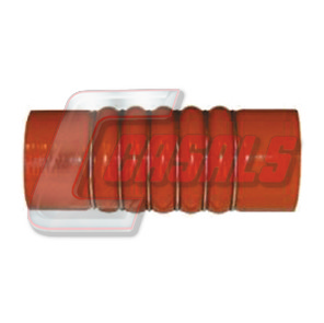 Furtun ear supraalimentare 33245 CASALS
