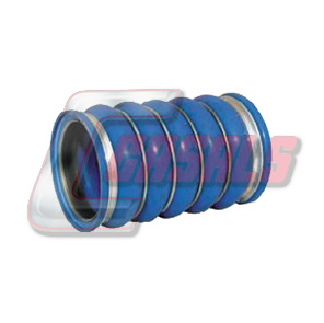 Furtun ear supraalimentare 33275 CASALS