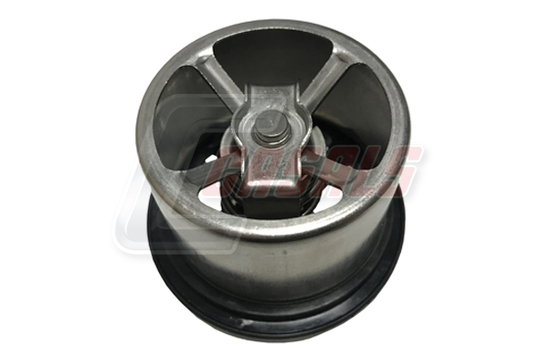 Termostat,lichid racire 65901 CASALS