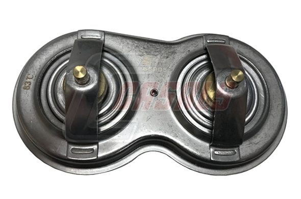 Termostat,lichid racire 65905 CASALS