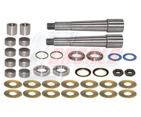 Set reparatie, pivot 69103 CASALS