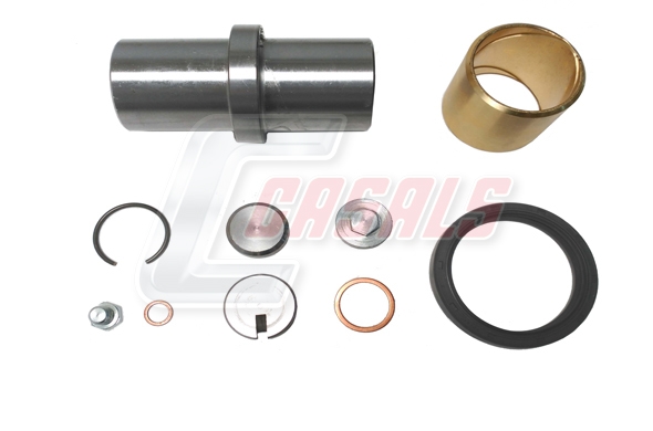 Set reparatie, pivot 69112 CASALS