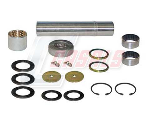 Set reparatie, pivot 69113 CASALS