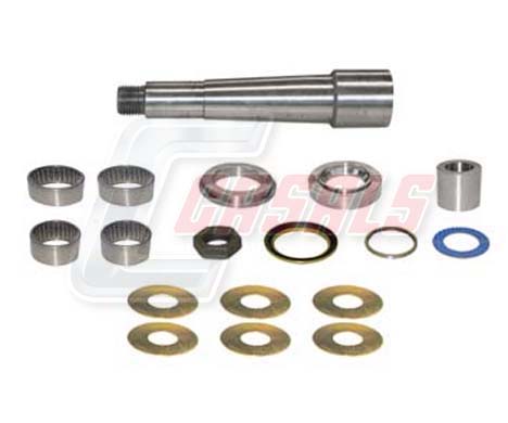 Set reparatie, pivot 69123 CASALS