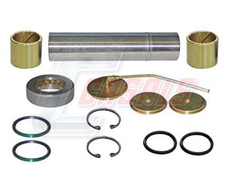 Set reparatie, pivot 69137 CASALS