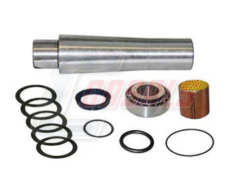 Set reparatie, pivot 69158 CASALS