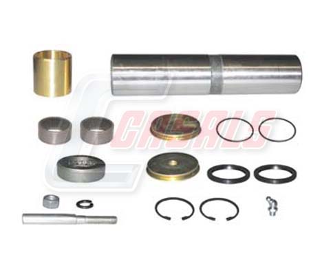 Set reparatie, pivot 69163 CASALS