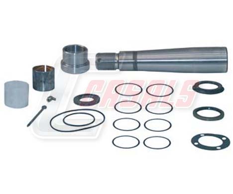 Set reparatie, pivot 69168 CASALS