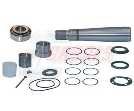Set reparatie, pivot 69169 CASALS