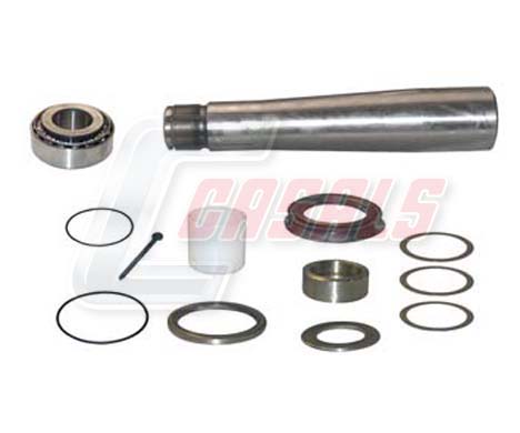 Set reparatie, pivot 69171 CASALS