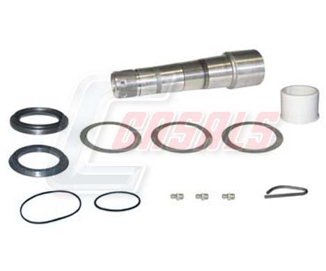 Set reparatie, pivot 69175 CASALS