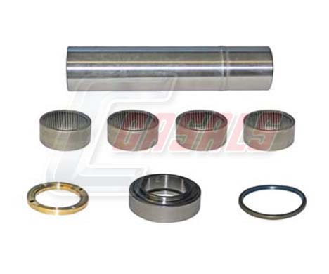 Set reparatie, pivot 69199 CASALS