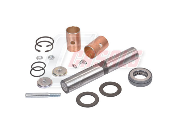 Set reparatie, pivot 69233 CASALS