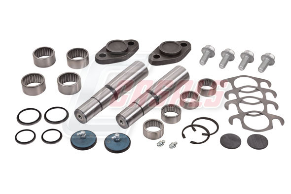 Set reparatie, pivot 69234 CASALS