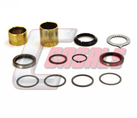 Bucsa, arbore frana 8855 CASALS