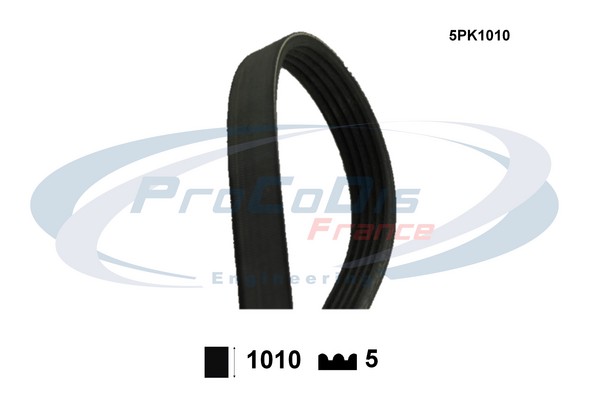 Curea transmisie cu caneluri 5PK1010 PROCODIS FRANCE