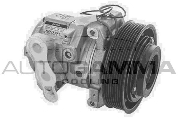 Compresor, climatizare 118706 AUTOGAMMA