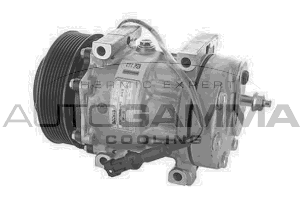Compresor, climatizare 118727 AUTOGAMMA