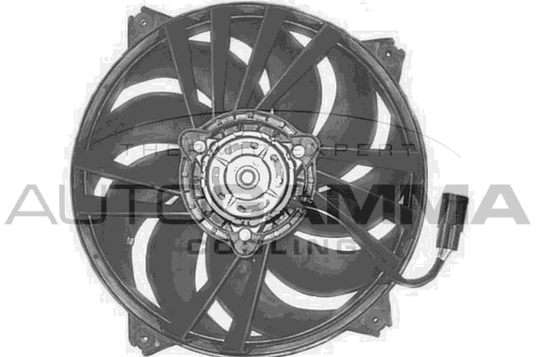 Ventilator, radiator GA200311 AUTOGAMMA