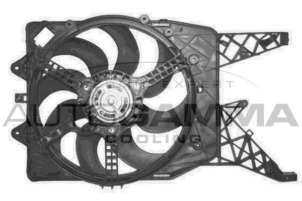 Ventilator, radiator GA200866 AUTOGAMMA