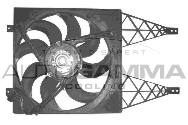 Ventilator, radiator GA221000 AUTOGAMMA